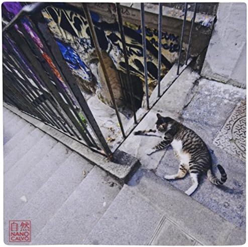 3drose LLC 8 x 8 x 0,25 polegadas Mouse blide, Alley Cat repousa por parede pintada de graffiti em Montmartre, Paris,