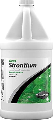 Strontium de recife, 4 l / 1 fl. garota.
