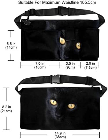 British Shorthair Cat Fanny Pack com bolsos de 4 zíper, presentes para desfrutar de treinos de esportes que viajam com a cintura