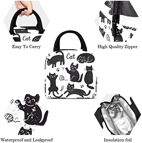 Larve de lancheira de lancheira de lanchonete isolada e engraçada de gato de gato preto e engraçado
