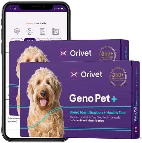 Orivet 2 Pack Dog DNA Teste | Kit abrangente de teste de raça de cães, testes genéticos, riscos à saúde da tela e plano de vida Genopet+ para caninos