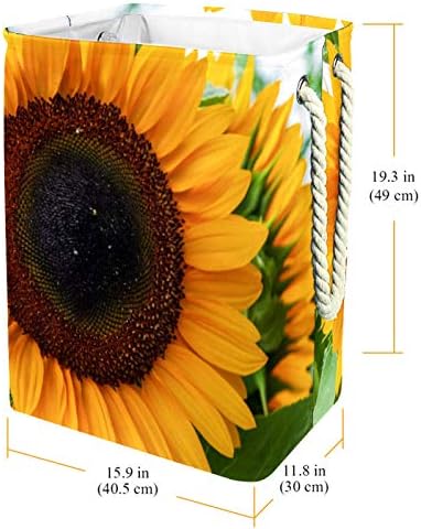 Girassol Helianthus Blossom Laundry Torda de pano de pano embutido com suportes destacáveis ​​cesta de lavanderia com alças