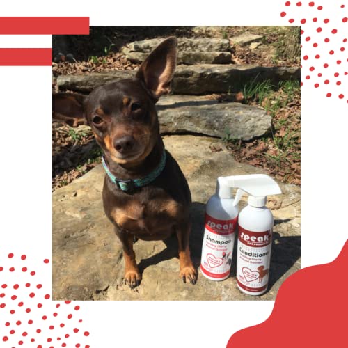 FALAR PRODUTOS PET PET SHAMPOO AOATMEAL DE ALMONDA CHERRY Natural 17oz, spray de condicionamento de licença 17oz e banho