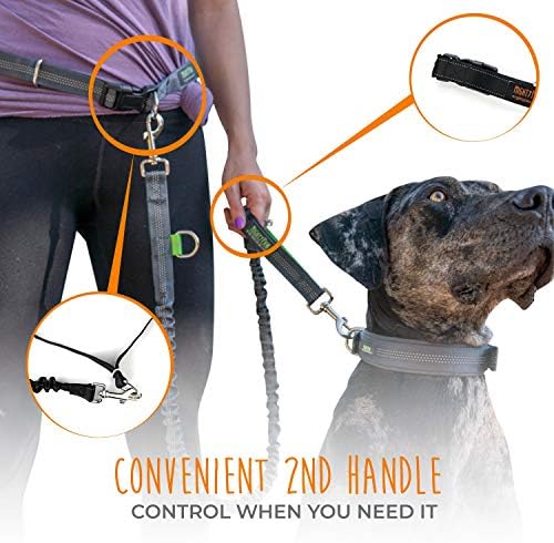 Mighty Paw Hands Free Dog Leash | Premium Runners Pet Lead e Cinturão de quadril ajustável. Sistema de bungee reflexivo leve para