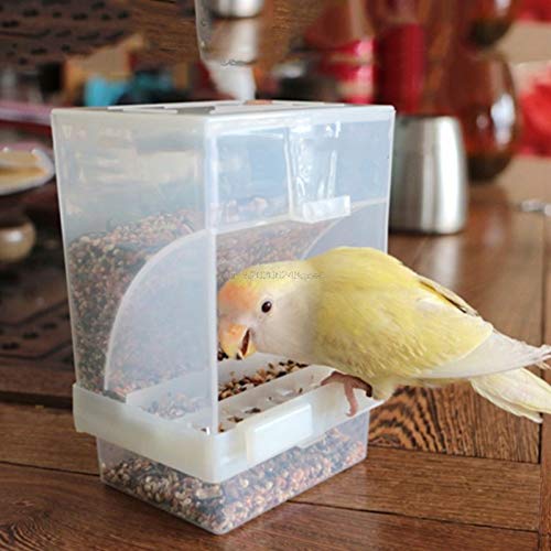 Alimentador de aves de aves de pássaros automáticos acrílicos contêineres de alimentos parrot Poment Splash Proof