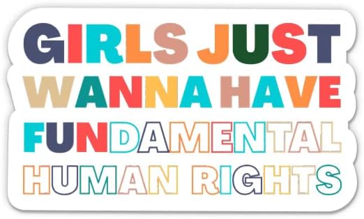 As meninas só querem ter adesivos fundamentais de direitos humanos - 2 pacote de adesivos de 3 - vinil impermeável para carro, telefone, garrafa de água, laptop - direitos de direitos iguais protestos