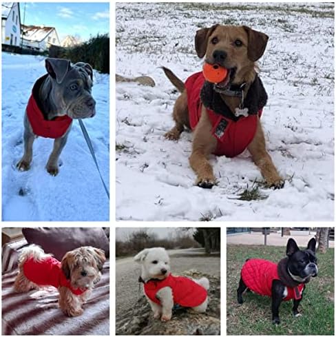 H.S.C Pet Red Dogs Red Casa-de-casca macia e lã de algodão quente dentro de casacos de clima frio para cachorrinho e cachorrinho Velcro fácil molho e despido