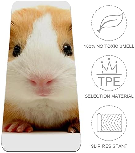 Siebzeh fofo pequeno hamster premium grosso de yoga mat para a saúde de borracha e fitness não deslizamento para todos os tipos de