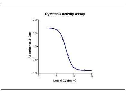 Cystatina humana recombinante humana C 100UG