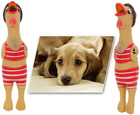 N / C Brinquedo de Pet Screando Chicken Toy, seguro, higiênico, ecológico, estéril, não tóxico, resistente ao desgaste,