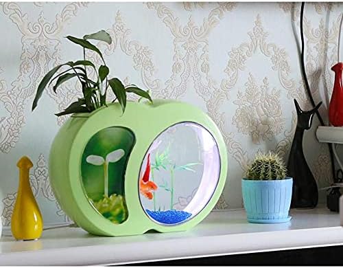 Dlvkhkl Ecologia Mini Nano Fish Tank Office Aquarium Devora Home Devenção Mini Filtro de Integração do Tanque de Peixes