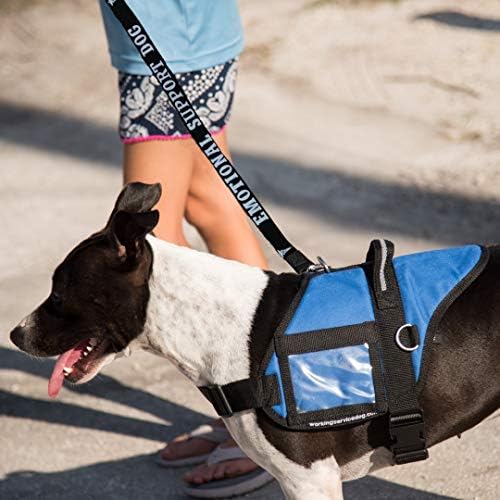TrabalhoServicedEg.com Suporte emocional Dog Leash - Ótima identificação com ou sem um colete de animais de apoio