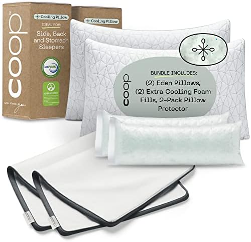 Coop Home Goods - 2 Pacote de espuma de memória Eden Almofadas e 2 pacote de protetor de travesseiros com zíper Lulltra com zíper pacote