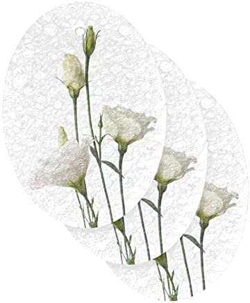 Alaza White Rose Flor Naturais esponjas de cozinha esponja de celulare para louça para lavar o banheiro e a limpeza