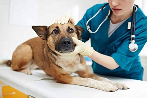 Alívio para cães para cães oral - Melhor alívio de alergia a cães - Livre -se da coceira - suporte imunológico - mastiga
