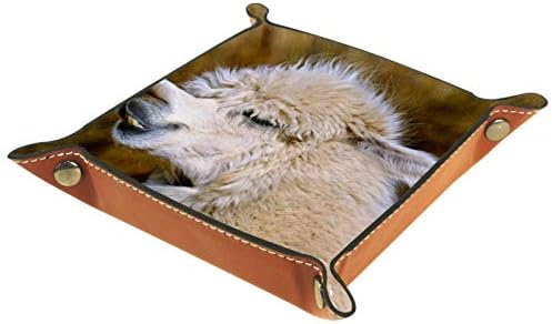 Lyetny Alpaca Pattern Organizer Bandeja Caixa de armazenamento Bandeja de mesa de mesa Caddy Alterar a carteira de carteira de caixa de moeda de caixa de armazenamento de bandeja, 20.5x20.5cm