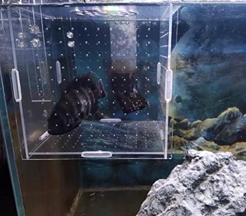 Caixa de criação de peixes de acrílico awxzom, caixa de isolamento de peixes acrílicos, separador de peixes para aquário, incubador