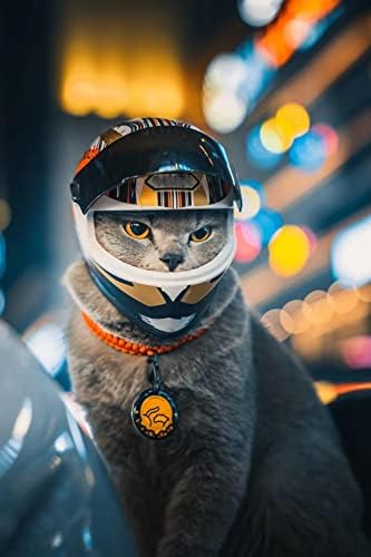 Capacete de motocicleta de estimação, capacete de motocicleta de rosto completo, chapéu de capacete de bicicleta de moto para cães cães de cachorro gatinho gatinho de gatinho suprimentos para carros de carroce