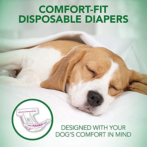 Fregers de cães de melhor conforto do veterinário | Fraldas descartáveis ​​para cães | Absorvente com ajuste à prova de vazamento