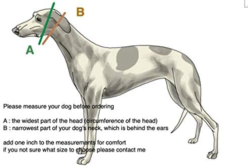 SGANG CLARA DE COGO MARTINGE EXTRA MARTINGE para Greyhound Saluki Whippet e outras raças com pescoço semelhante 2 '' de largura,