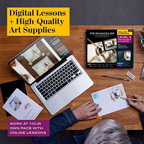 Técnica Prismacolor, materiais de arte e aulas de arte digital, pacote de conjuntos de desenhos de animais, níveis 1-3, 54 contagem