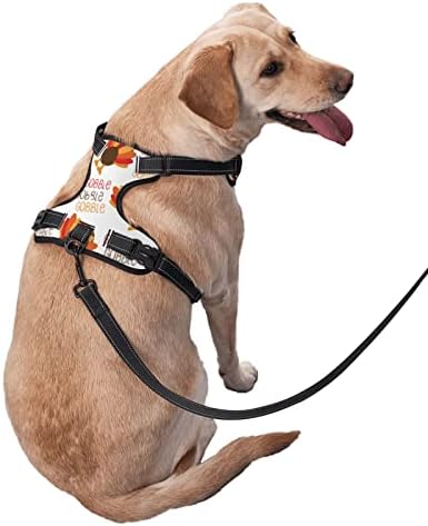 Cão de cães Ação de Graças peru Gobble animal de estimação ajustável ao ar livre arnês