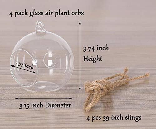 TQVAI 4 PACOLING GLOBO AIR PLUBE AIR PLUNTER TERRARIUM VASE COM SLING de 39 polegadas