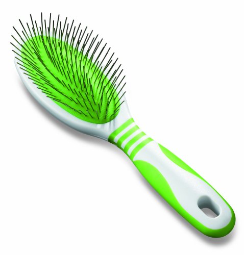 Andis 65715 Pin Brush para cães de cabelo médio e comprido - gentil e eficaz na remoção de sujeira, poeira e cabelo solto - promove a pele e casaco saudáveis ​​- médio, verde/branco