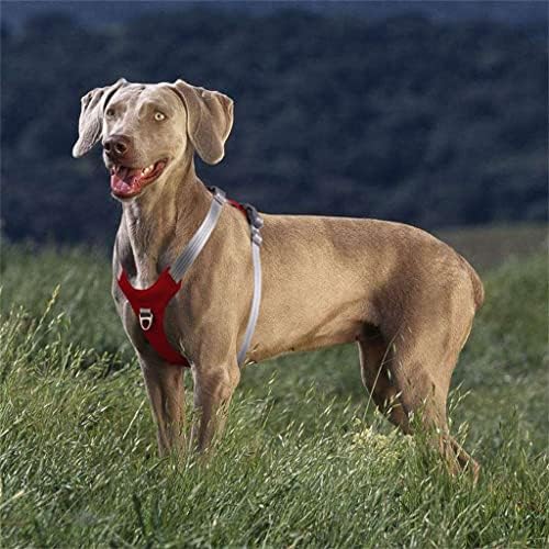 GPPZM Pet Dog Colet, colete, colarinho de cães sem tensão, adequado para suprimentos para animais de estimação para cães médios e grandes