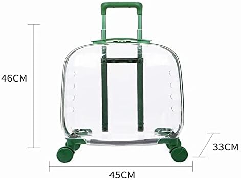 Lepsjgc Pet Caso Case Travel Transport Bag transparente Visualização Visualização Pasta portátil