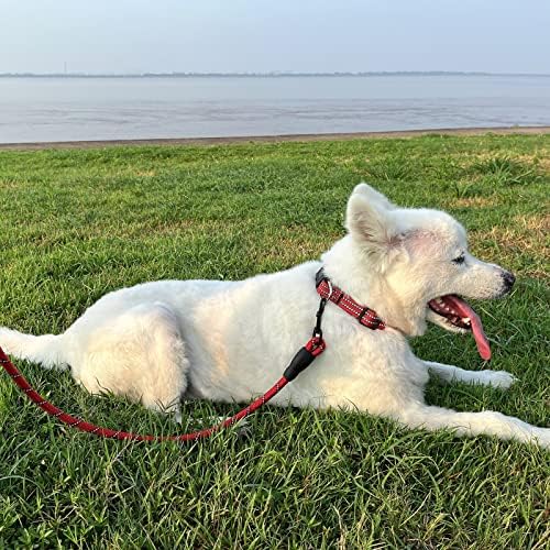 Lalka Aniola Ajusta colarinho de cachorro colarinho com liberação rápida fivela de fivela de cães colares de treinar