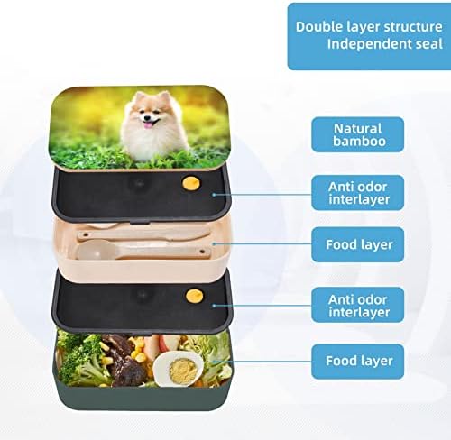 Cão de cachorro fofo na caixa de bento de almoço de Spring Park com alça ajustável atualizada, recipiente de alimentos