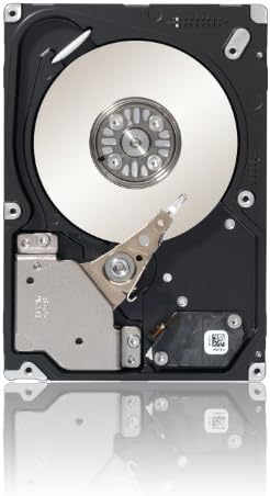 SEAGATE ST9300653SS 300 GB SAS 2,5 ”DUSTO DIFÍCIL