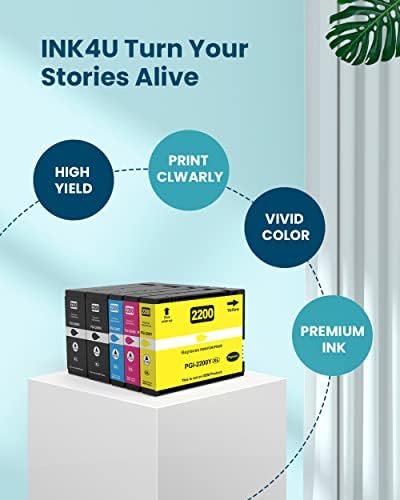 INK4U Compatível PGI-2200XL CARTRIDES DE TINTA SUBSTITUIÇÃO PARA PIGMENTO DE PGI 2200XL CANON 2200XL 2200XL Para MB5420 MB5320 MB5120 MB5020 IB4120 IB4020 PACKS 5 PACK