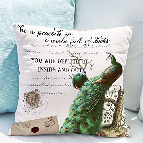 Estilo francês Seja um pavão em um mundo de almofada de pato almofada aquarela Pattern Pattern Pattern com travesseiros