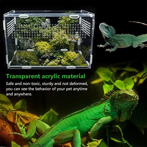 Walnuta Transparente Grande Durável Durável Terrário de Réptil Box Supplies para animais de estimação para animais de