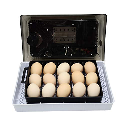 1pcs ovo incubadora 15 ovos incubadora digital ht chicking chicken pato ganso ovo incubador nos EUA regulamentos de aves de aves