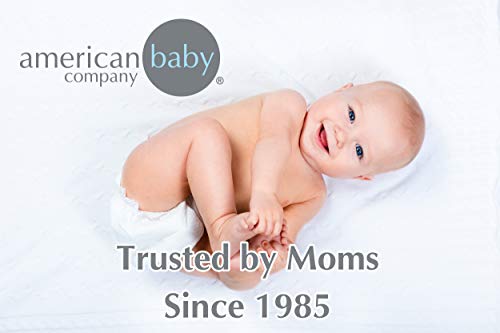 American Baby Companiz