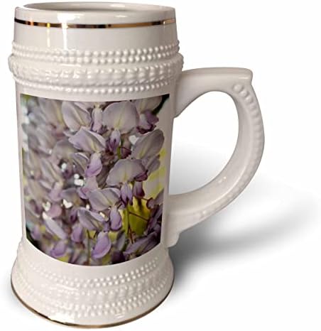 3drose lindas wisteria flores de close -up fotografia - 22oz de caneca de Stein