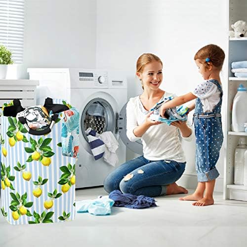 VISESUNNY LEMAN LIMÃO COLAÇÃO DE LAPUNDERY COM FOLHAS CUSTO DE LAPUNDERY GRANDE com brinquedos e organização de roupas