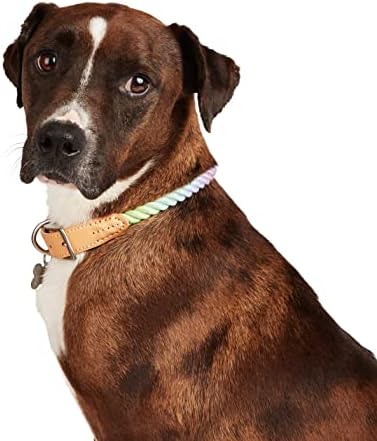 Youly Pride Dog Collar, x-small/pequeno