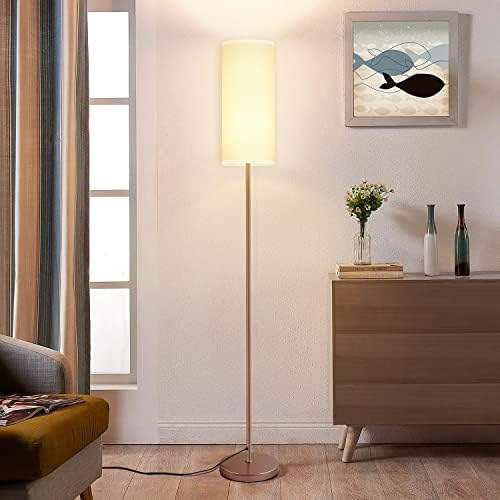 Lâmpada de chão de Karjoefar para sala de estar, lâmpada moderna de piso com controle remoto e lâmpada escândalo de escala, lâmpada
