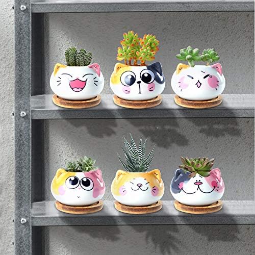 Potes suculentos de Yinuwei com drenagem mini vasos de gato de 3,6 polegadas para plantas minúsculas plantadoras