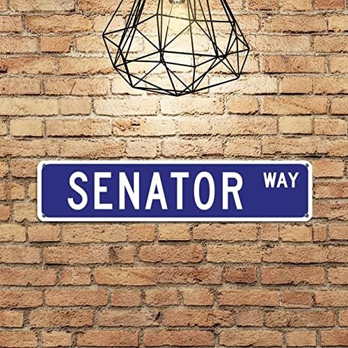 Senador Gift Metal Tin Sign Sign Placa Profissão Profissão Senador Decoração Casa Placa decorativa de parede Sinais do