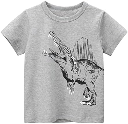 Uma camisa para meninos crianças crianças meninos meninas garotas dinossauros curtos de manga curta Tamis de camisetas Tops