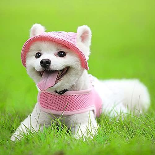 Apott Dog Arnness e Leashé Pet Caps Cat Bowknot Dress Summer Vest Arness para viajar ao ar livre rosa, M