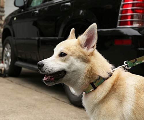 Colarinho de cachorro para animais de estimação de alces - colares de estimação ajustáveis ​​estampados, feitos