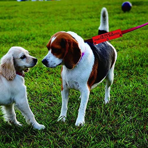 Manga de trela de cães de deficiência visual e perda auditiva Eu sou surdo e parcialmente avistado Dog Leash Sleeve Pet