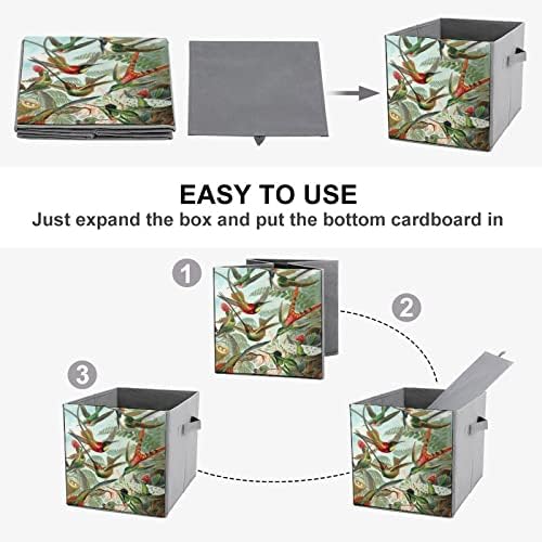 Hummingbird Pattern Cubos de armazenamento de tecido dobrável Caixa de armazenamento de 11 polegadas Bins de armazenamento dobrável com alças