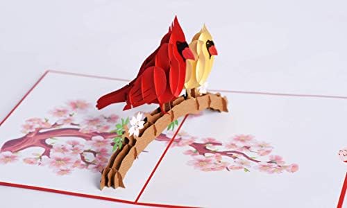 Cartão pop -up 3D de pássaro cardeal, arte de papel e artesanato, cartões de felicitações, presentes artesanais por pqdglobal